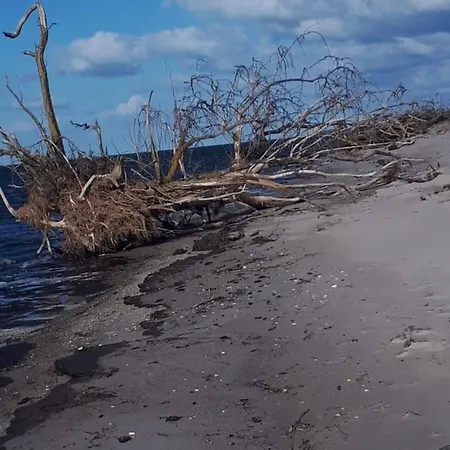 Koehler Am Achterwasser , Urlaub Mit Hund Сasa de vacaciones Lutow