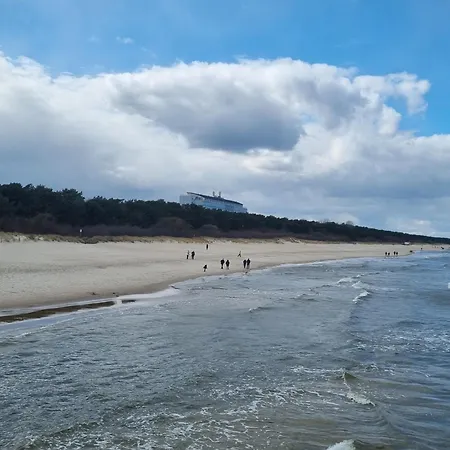 Koehler Am Achterwasser , Urlaub Mit Hund Dom wakacyjny Lutow