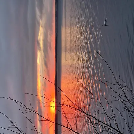 Dom wakacyjny Koehler Am Achterwasser , Urlaub Mit Hund *