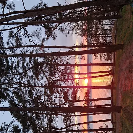 Koehler Am Achterwasser , Urlaub Mit Hund Lutow