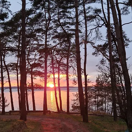 Koehler Am Achterwasser , Urlaub Mit Hund *