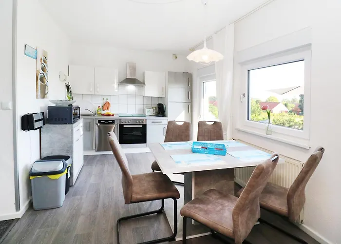 Koehler Am Achterwasser , Urlaub Mit Hund