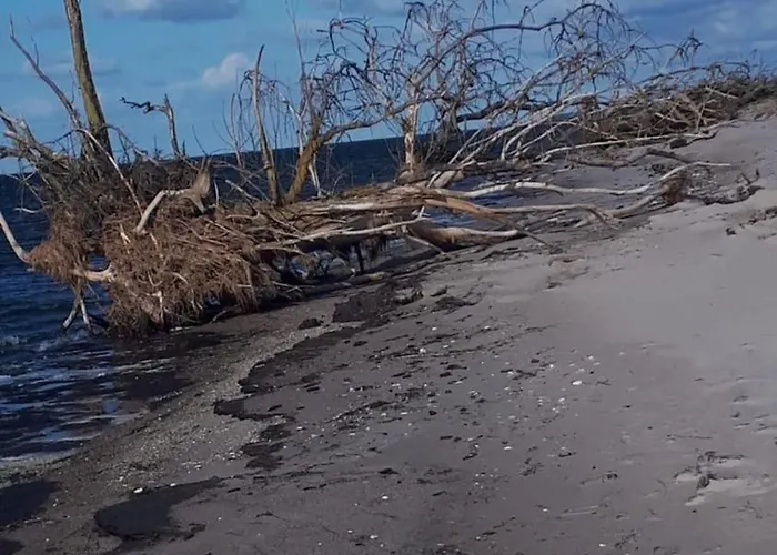 Koehler Am Achterwasser , Urlaub Mit Hund Prázdninový dům Lutow