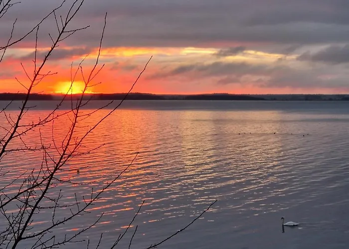 Prázdninový dům Koehler Am Achterwasser , Urlaub Mit Hund
